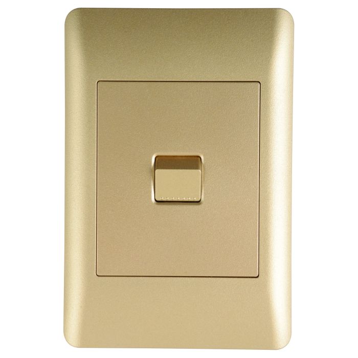 Lesco Apollo Gold 1-Lever 1-Way Light Switch 2x4 AP42SW1/1-EG | Chamberlain