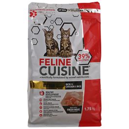 feline cuisine kitten