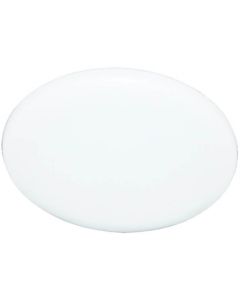 Bright Star 12W Cool Daylight LED Bathroom Ceiling Light 260mm CF364