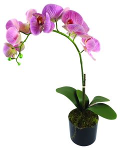 Silk by Design Faux Mauve Orchid NR/13CM/027MV