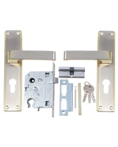 Fort Knox Satin Nickel & Brass Plated Viridis Lever Handle On Backplate Cylinder Lockset 8" M8C30