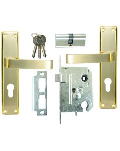 Fort Knox Satin Nickel & Brass Plated Viridis Lever Handle On Backplate Cylinder Lockset 8" M7C30