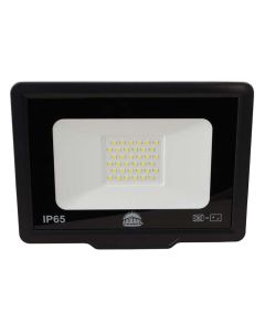 Radiant 30W LED Floodlight RFS58