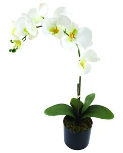 Silk by Design Faux White Orchid NR/13CM/027WH