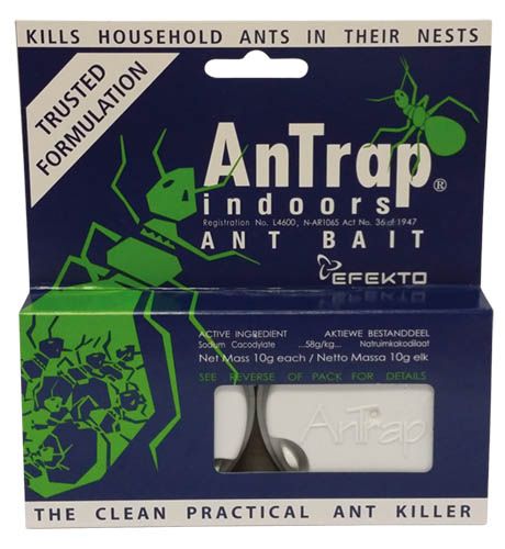 Buy RESCUE! Ant Baits – Indoor Ant Killer, Ant Trap Alternative - 6 Pack  (36 Bait Stations) Online at desertcartOMAN